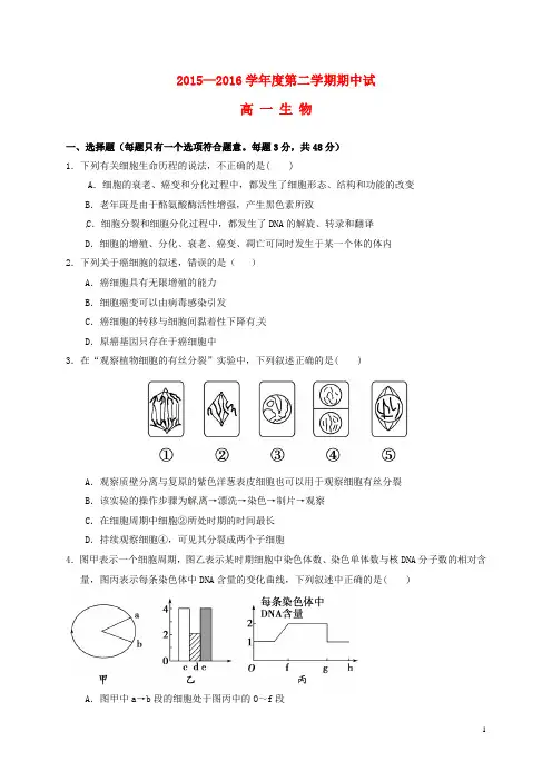 广东省高州市第一中学2015-2016学年高一生物下学期期中试题(新)