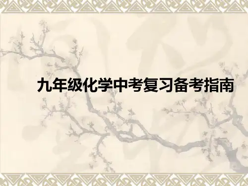 九年级化学中考复习备考指南