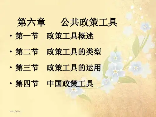 课件:公共政策第六章