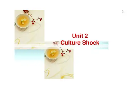 Unit 2 Culture Shock