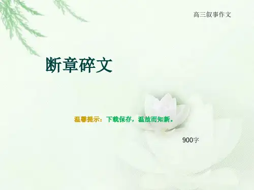 高三叙事作文《断章碎文》900字