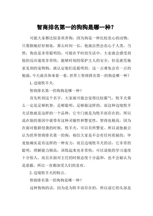 智商排名第一的狗狗是哪一种？