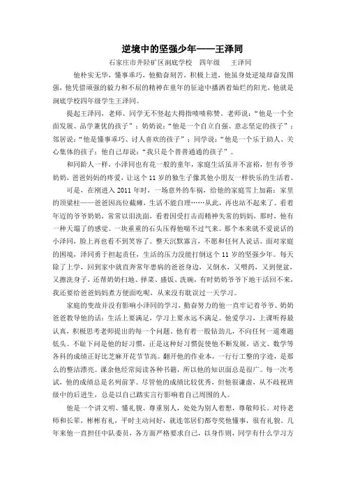 逆境中的坚强少年