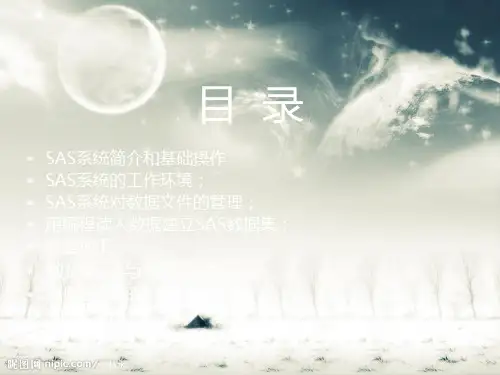 SAS基础教程ppt课件