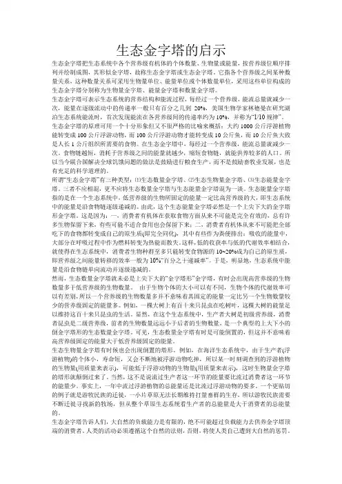 生态金字塔的启示