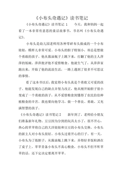 《小布头奇遇记》读书笔记