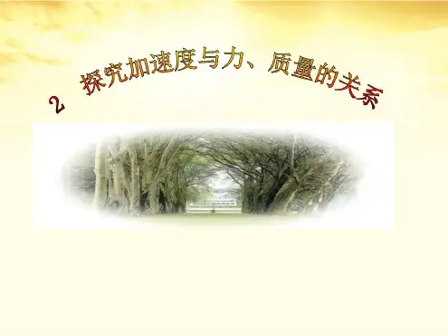 2012高中物理4.2实验：探究加速度与力、质量的关系13课件新人教版必修1