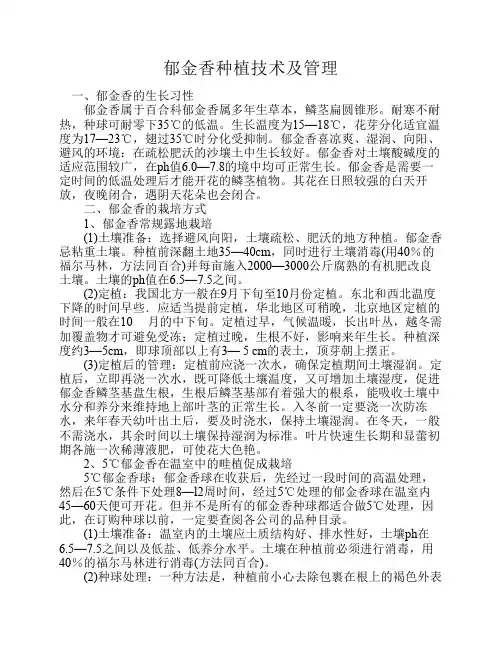 郁金香种植技术及管理