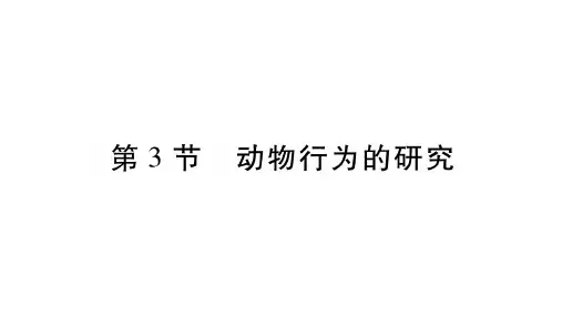 16.3〓动物行为的研究