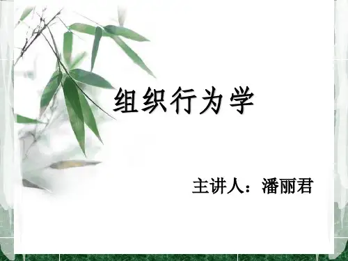 组织行为学第二章分析
