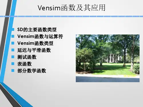 Vensim函数及其应用