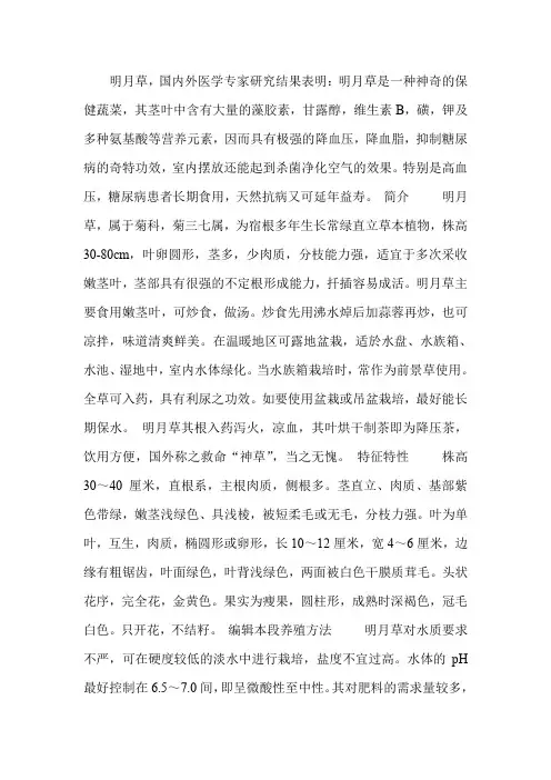 明月草