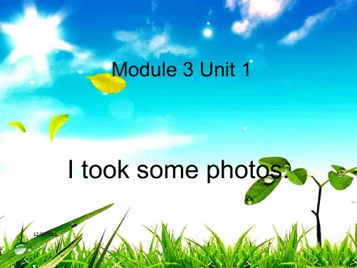 六年级英语下册 module 3 unit 1 i took some photos课件2