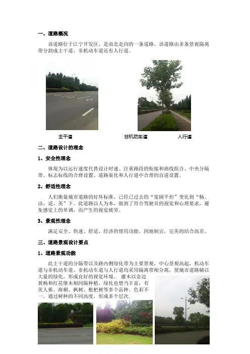 道路景观调研报告 2