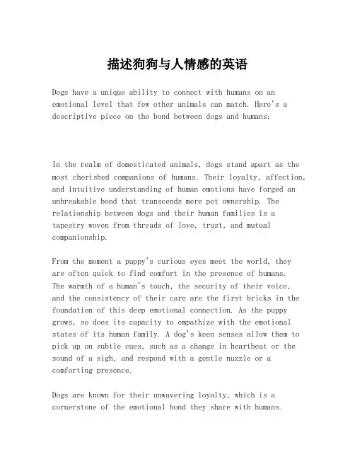 描述狗狗与人情感的英语