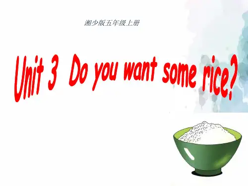 湘少版-英语-五年级上册-Unit 3 Do you want some rice  课堂教学课件