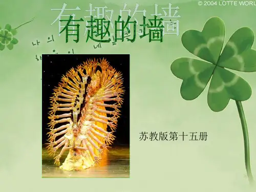 初中八年级上册美术精品课件《有趣的墙