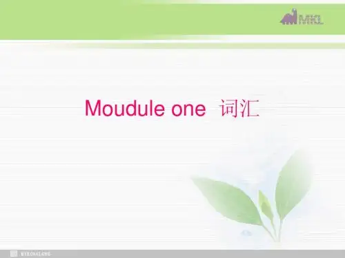 高中英语 Module 1 Europe词汇语法