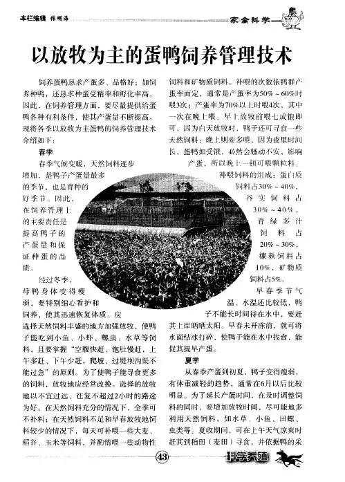 以放牧为主的蛋鸭饲养管理技术