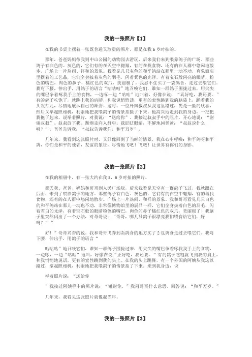 我的一张照片作文
