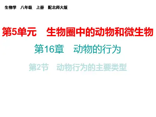 【最新】八年级生物上册北师大版课件：第16章  第2节 动物行为的主要类型(共20张PPT)