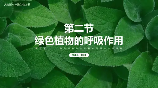 初中生物人教版七年级上册第五章《绿色植物的呼吸作用》教育教学课件