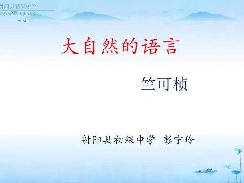 大自然的语言第二课时