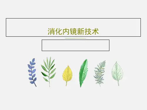 消化内镜新技术共42页
