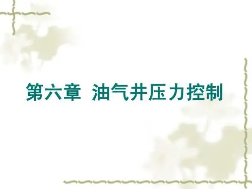 6)第六章 井控