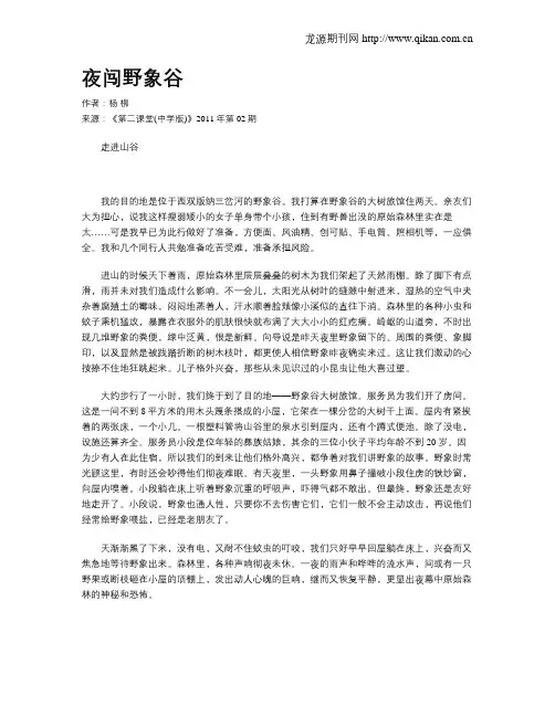 夜闯野象谷 2