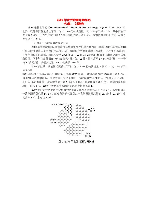 2009年世界能源市场综述