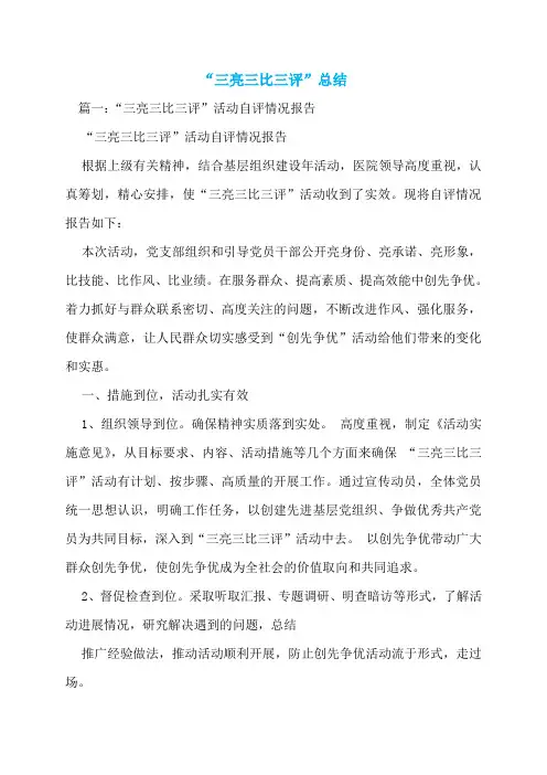 “三亮三比三评”总结