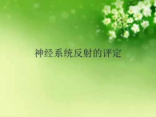 神经系统反射的评定优秀课件 (2)