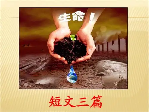 短文三篇