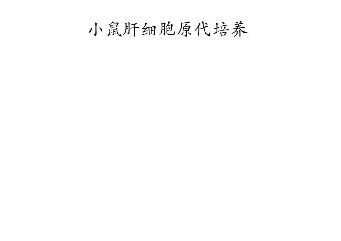 细胞生物学实验-小鼠肝细胞原代培养