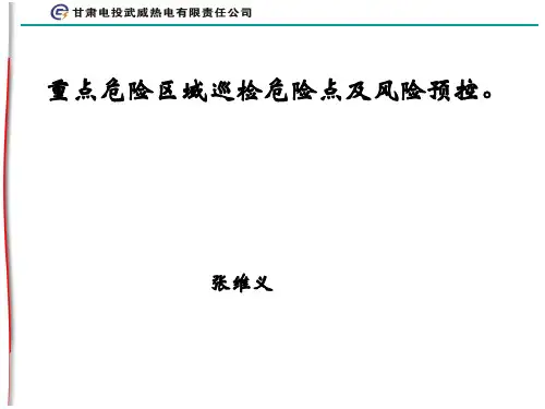 重点危险区域巡检危险点及风险预控