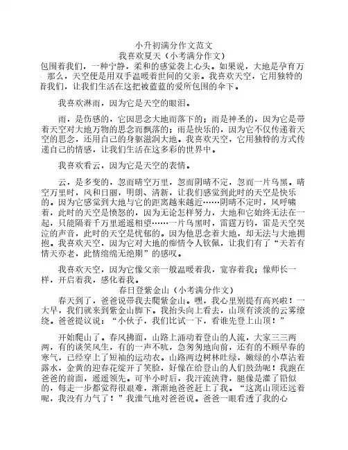 小升初满分作文范文