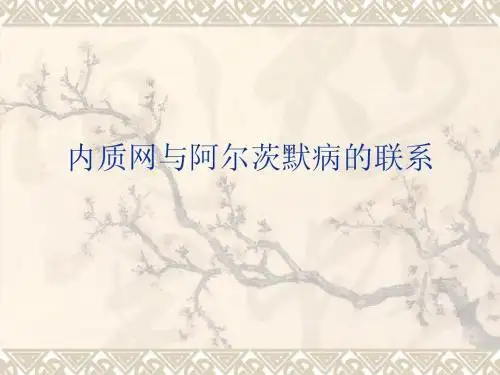 内质网与阿尔茨默病