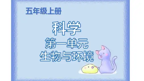 1五上课前预习