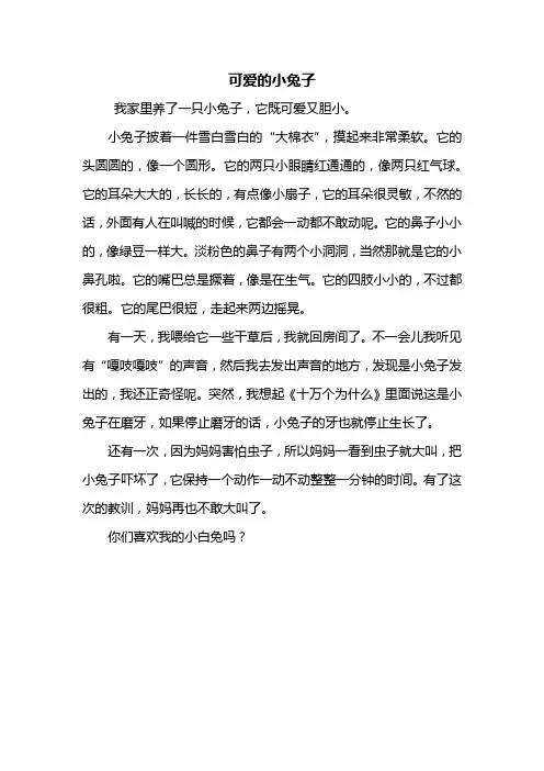 三年级作文：可爱的小兔子作文400字