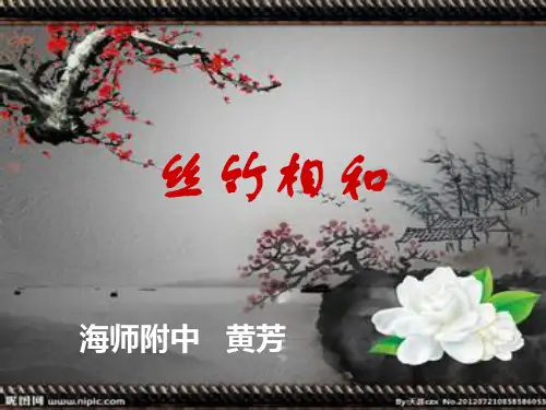 丝竹相和11PPT课件