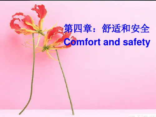 第四章:舒适和安全