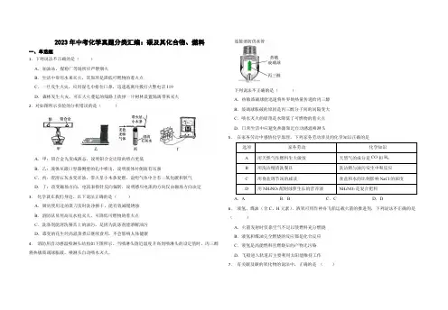 2023年中考化学真题分类汇编：碳及其化合物、燃料
