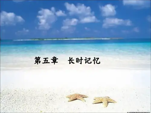 6 第六章 长时记忆