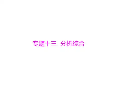 高考语文一轮精细复习课件:文言文专题十三 分析综合