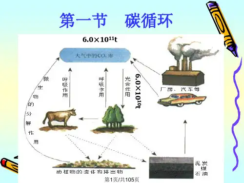 环境工程微生物