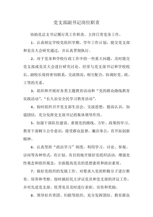 党支部副书记岗位职责