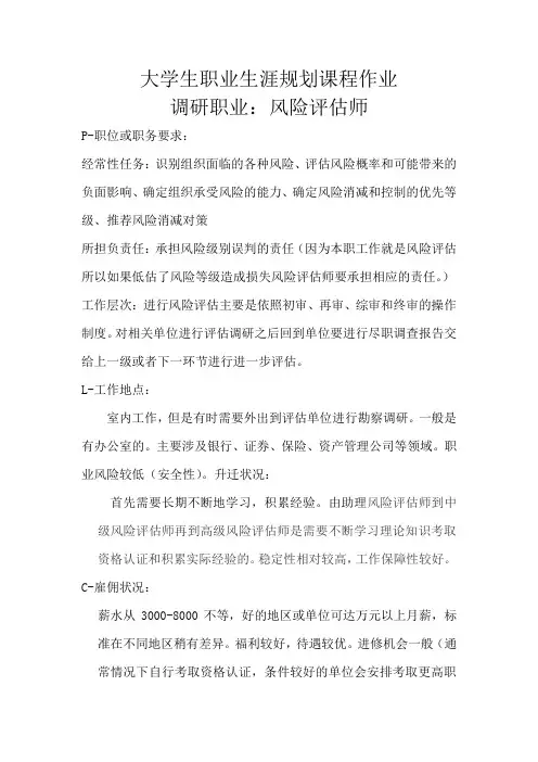 PLACE职业分析法——风险评估师