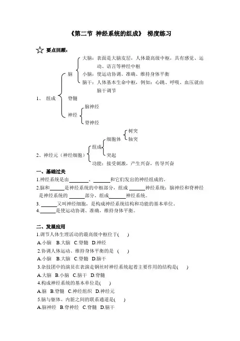 人教版-生物-七年级下册- 4.6.2 神经系统的组成 梯度练习