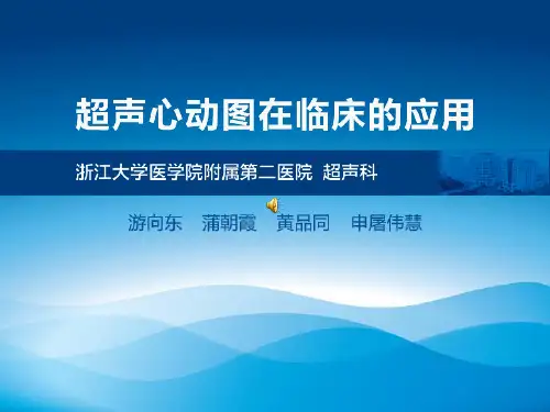 超声心动图(浙大)